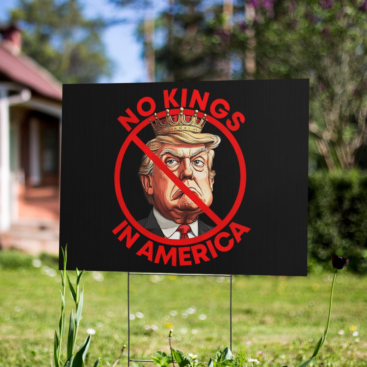 No Kings in America" Anti - Trump Yard Sign – Rule of Law, Not Royalty - DON'S Downfall