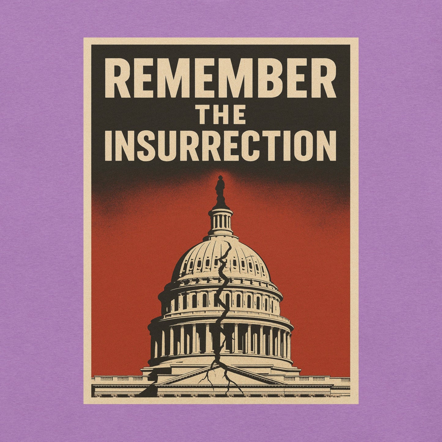 Remember the insurrection - protect democracy Anti Trump Graphic Tshirt - DON'S Downfall