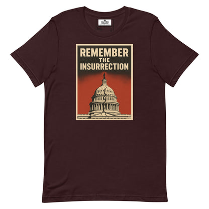 Remember the insurrection - protect democracy Anti Trump Graphic Tshirt - DON'S Downfall