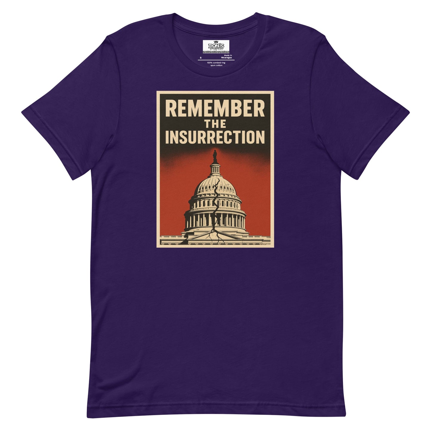 Remember the insurrection - protect democracy Anti Trump Graphic Tshirt - DON'S Downfall
