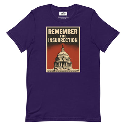 Remember the insurrection - protect democracy Anti Trump Graphic Tshirt - DON'S Downfall